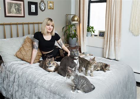 cat lady dating site